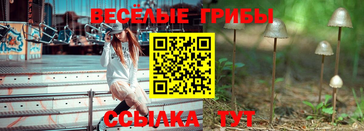 Галлюциногенные грибы прущие грибы  Вход с VPN  Псилоцибиновые грибы мухоморы  Ярославль 